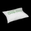 Portable Back Pillow